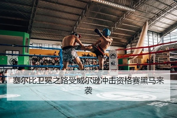 sai-er-bi-wei-mian-zhi-lu-shou-wei-er-xun-chong-ji-zi-ge-sai-hei-ma-lai-xi-2-323.jpg